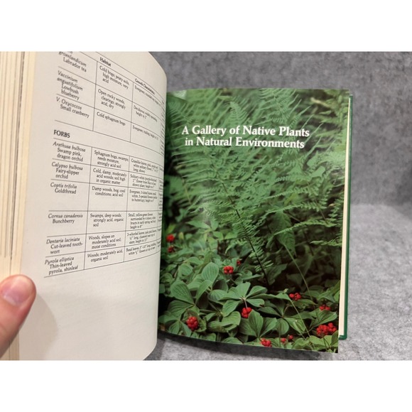 Nature's Design: A Practical Guide to Natural Landscaping by Carol A. Smyse - Picture 7 of 13